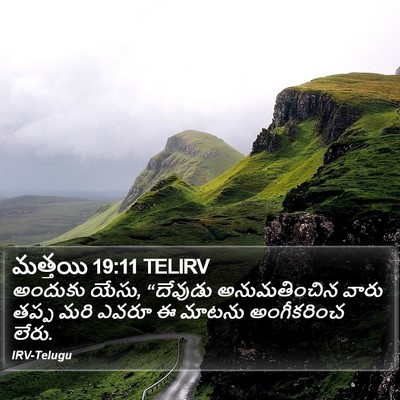 మత్తయి 19:11 TELIRV Bible Verse Image