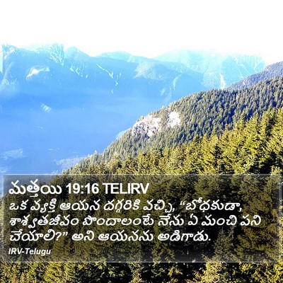 మత్తయి 19:16 TELIRV Bible Verse Image