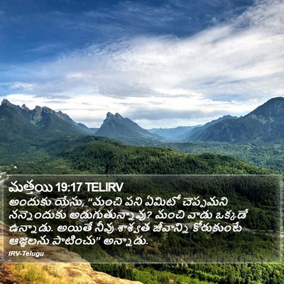 మత్తయి 19:17 TELIRV Bible Verse Image