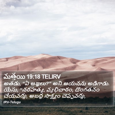 మత్తయి 19:18 TELIRV Bible Verse Image