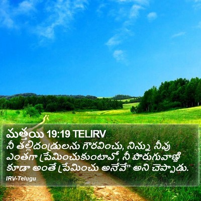 మత్తయి 19:19 TELIRV Bible Verse Image