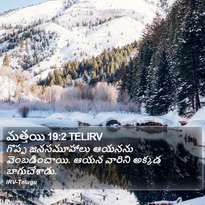 మత్తయి 19:2 TELIRV Bible Verse Image