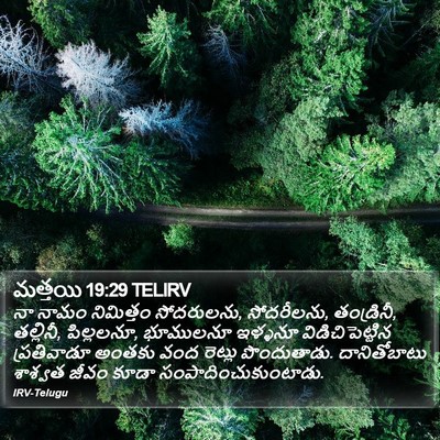 మత్తయి 19:29 TELIRV Bible Verse Image