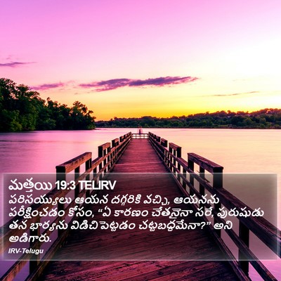 మత్తయి 19:3 TELIRV Bible Verse Image