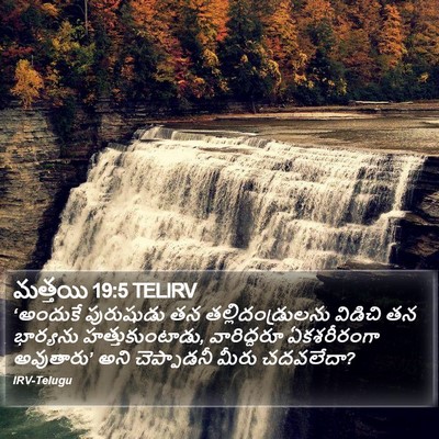 మత్తయి 19:5 TELIRV Bible Verse Image