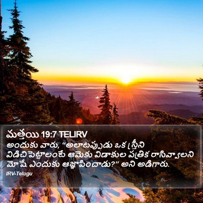 మత్తయి 19:7 TELIRV Bible Verse Image