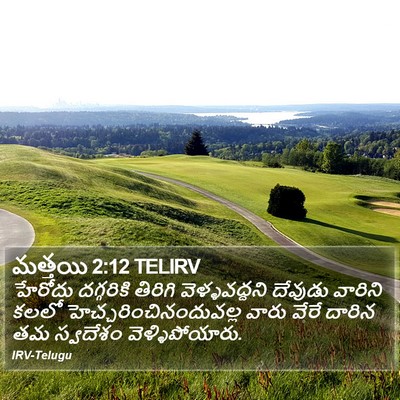 మత్తయి 2:12 TELIRV Bible Verse Image