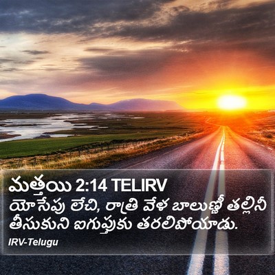 మత్తయి 2:14 TELIRV Bible Verse Image