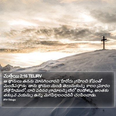 మత్తయి 2:16 TELIRV Bible Verse Image