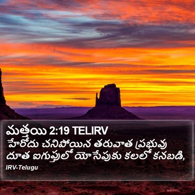 మత్తయి 2:19 TELIRV Bible Verse Image