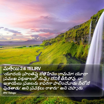 మత్తయి 2:6 TELIRV Bible Verse Image