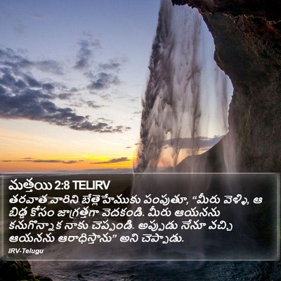మత్తయి 2:8 TELIRV Bible Verse Image