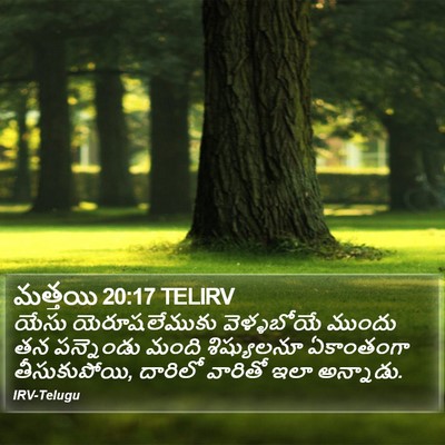 మత్తయి 20:17 TELIRV Bible Verse Image