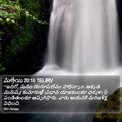 మత్తయి 20:18 TELIRV Bible Verse Image