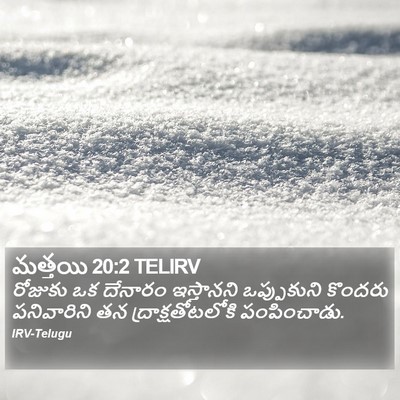 మత్తయి 20:2 TELIRV Bible Verse Image