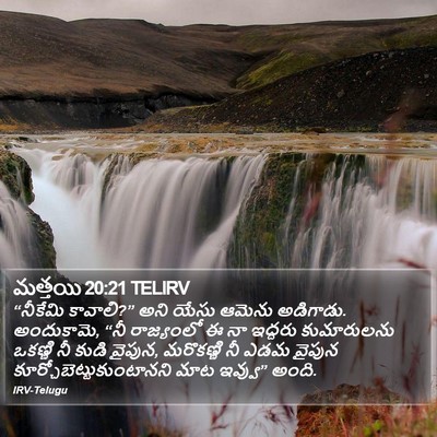మత్తయి 20:21 TELIRV Bible Verse Image