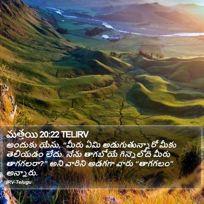 మత్తయి 20:22 TELIRV Bible Verse Image