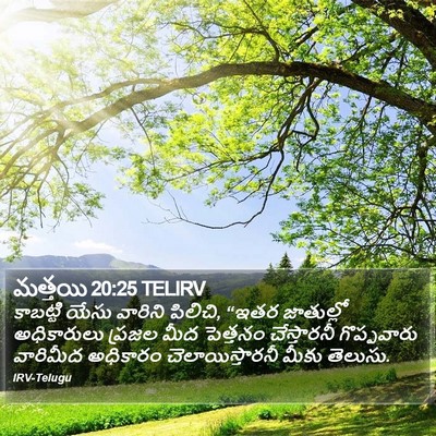 మత్తయి 20:25 TELIRV Bible Verse Image