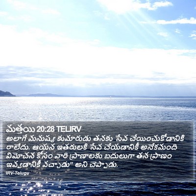 మత్తయి 20:28 TELIRV Bible Verse Image