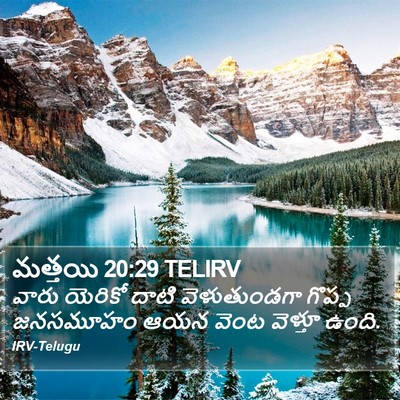 మత్తయి 20:29 TELIRV Bible Verse Image