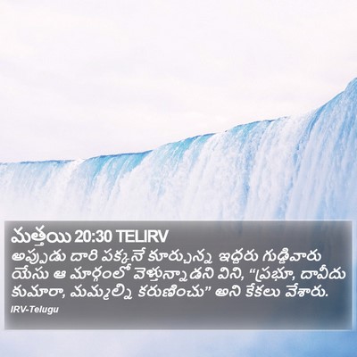 మత్తయి 20:30 TELIRV Bible Verse Image