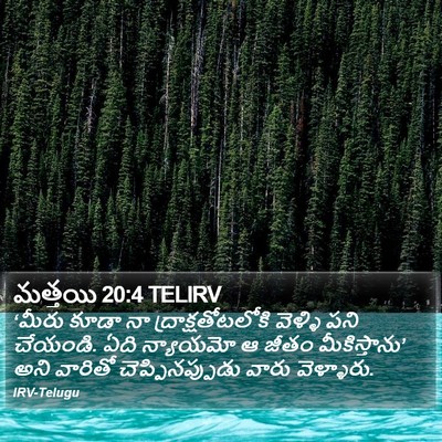 మత్తయి 20:4 TELIRV Bible Verse Image