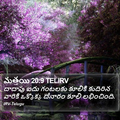 మత్తయి 20:9 TELIRV Bible Verse Image
