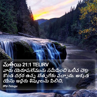 మత్తయి 21:1 TELIRV Bible Verse Image