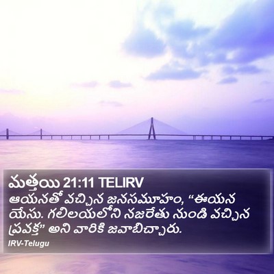మత్తయి 21:11 TELIRV Bible Verse Image