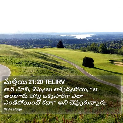 మత్తయి 21:20 TELIRV Bible Verse Image