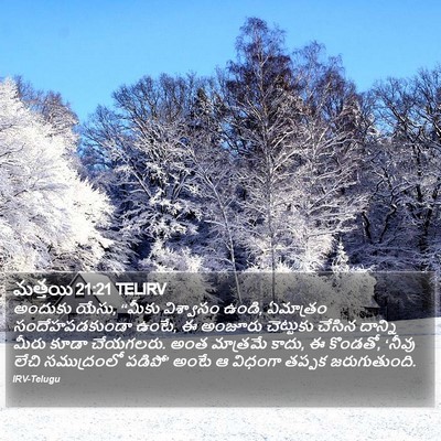 మత్తయి 21:21 TELIRV Bible Verse Image