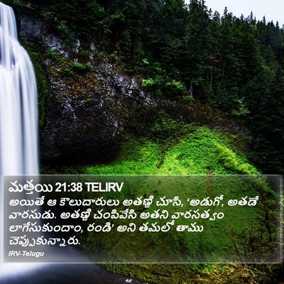 మత్తయి 21:38 TELIRV Bible Verse Image