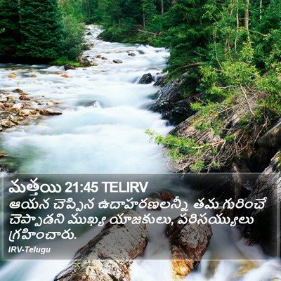 మత్తయి 21:45 TELIRV Bible Verse Image