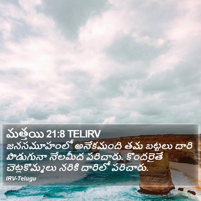 మత్తయి 21:8 TELIRV Bible Verse Image