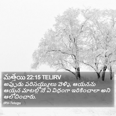 మత్తయి 22:15 TELIRV Bible Verse Image