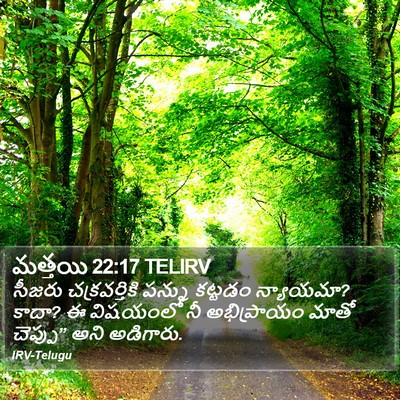 మత్తయి 22:17 TELIRV Bible Verse Image