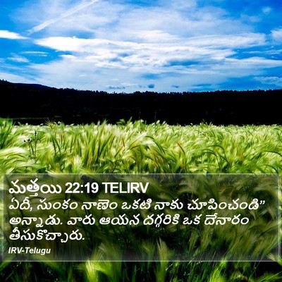 మత్తయి 22:19 TELIRV Bible Verse Image