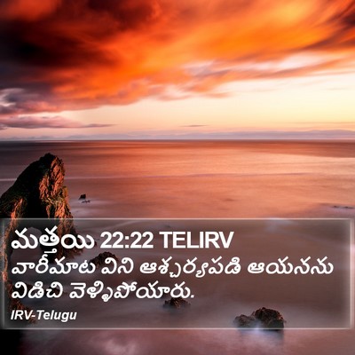 మత్తయి 22:22 TELIRV Bible Verse Image