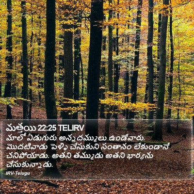 మత్తయి 22:25 TELIRV Bible Verse Image