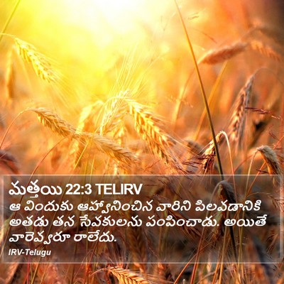 మత్తయి 22:3 TELIRV Bible Verse Image