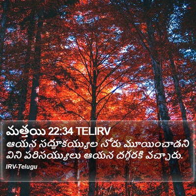 మత్తయి 22:34 TELIRV Bible Verse Image