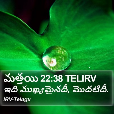 మత్తయి 22:38 TELIRV Bible Verse Image