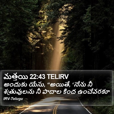 మత్తయి 22:43 TELIRV Bible Verse Image