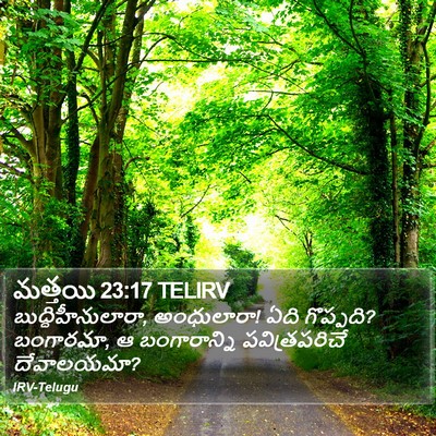 మత్తయి 23:17 TELIRV Bible Verse Image