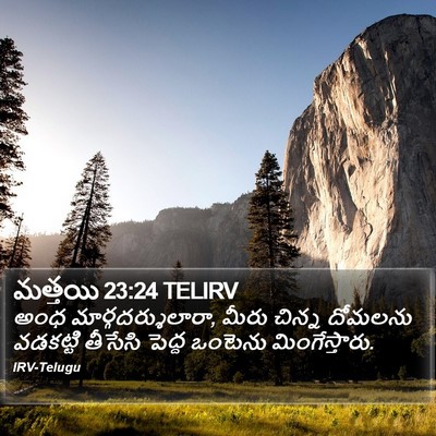 మత్తయి 23:24 TELIRV Bible Verse Image