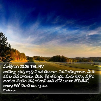 మత్తయి 23:25 TELIRV Bible Verse Image
