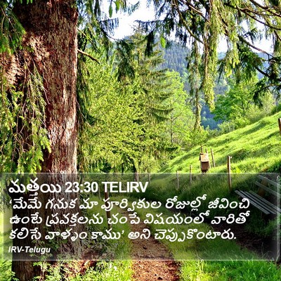 మత్తయి 23:30 TELIRV Bible Verse Image
