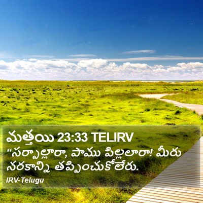 మత్తయి 23:33 TELIRV Bible Verse Image