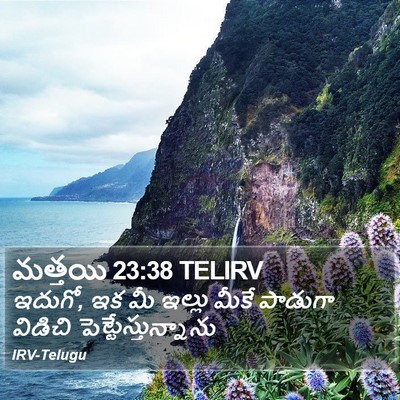 మత్తయి 23:38 TELIRV Bible Verse Image
