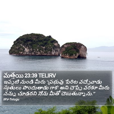 మత్తయి 23:39 TELIRV Bible Verse Image